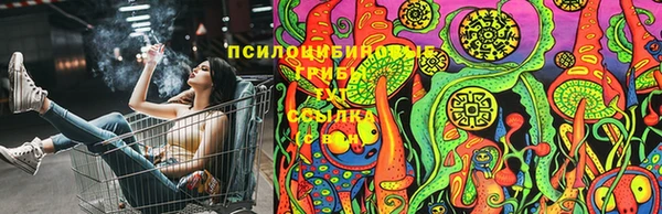 дурь Верхний Тагил