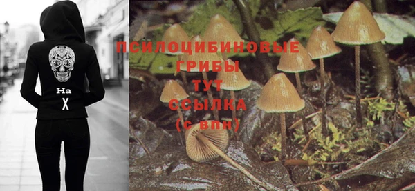 дурь Верхний Тагил